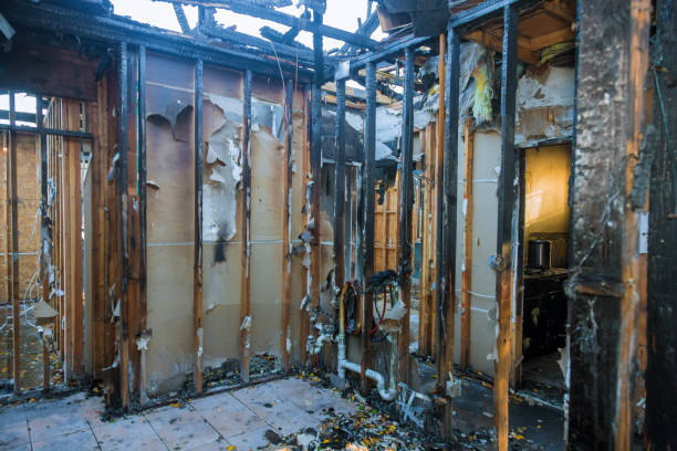 Professional Emergency Fire Cleanup technician working in Wilson, PA